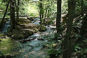 Der Unesco-Naturpark Bergstraße-Odenwald ist ein Paradies für Naturliebhaber, Wanderer und Familien, der auf eigene Faust oder unter fachmännischer Führung von Geopark-Rangern erkundet werden können. 