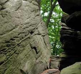 Felsen