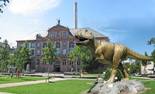 KLEINNed_Collage_Senckenberg.jpg