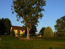 BiergartenRheinterrasse3.jpg