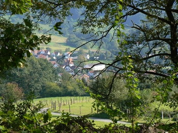Der Odenwald auf Hallo Bergstrasse