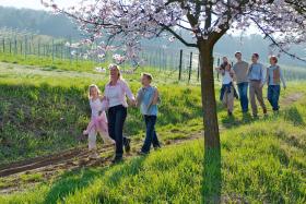 Wandern_280.jpg