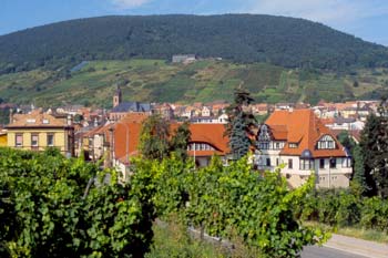 blick_st_martin.jpg