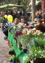 pflaenzelmarkt in weinheim a.d.Bergstrasse