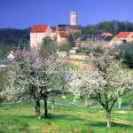 Saechsisches_Burgen-_und_Heideland_ 24445-1_bild1_Foto_djd_Tourismusverband_Saechsisches_Burgen-_und_Heideland_eV.jpg