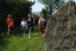 Nordic-Walking