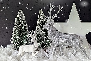 [title] - Weihnachten gehört für viele Menschen zum schönsten Fest des Jahres und der  Advent spielt dabei eine ganz besondere Rolle. Aventskranz, Adventskalender, Weihnachtsbaum, Geschichten und Lieder,  Weihnachtskrippen und natürlich Geschenke sind ein fester Bestandteil dieser weihnachtlichen Traditionen.