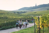 weinwanderung.jpg