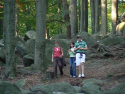 [title] - Steine und Fossilien geben Antwort auf die Frage wie die Erde entstand und wie sich das Leben auf unserem Planeten entwickelte. Die verschiedenen Steinschichten, die an vielen Stellen in Deutschland erkundet werden können, enthalten zahlreiche Funde und erlauben uns einen Einblick in die faszienierende Geschichte der Erde.