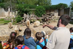 Die Heidelberger Zooschule bietet in den Oster-, Pfingst-, Sommer- und Herbstferien ein spannendes und abwechslungsreiches Ferienprogramm an. Dabei kommen nicht nur Tierfreunde sondern bei Technik-Workshops auch Tüftler, Entdecker und solche, die es werden wollen, auf ihre Kosten. 