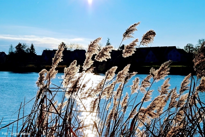 Ladenburg am Neckar mit Blick auf Neckarhause