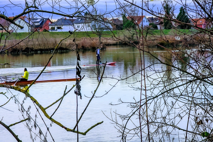 Paddeln im Januar auf dem Neckar bei Ladenburg 