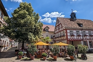 Mehr als einen Spaziergang durch die Schriesheimer Weinberge hatten wir nicht geplant, als wir uns aufmachten, einen Gutschein für ein Picknick im Weinberg einzulösen. Dass daraus schlussendlich ein erlebnisreicher Ausflugstag wurde, hat uns völlig überrascht.