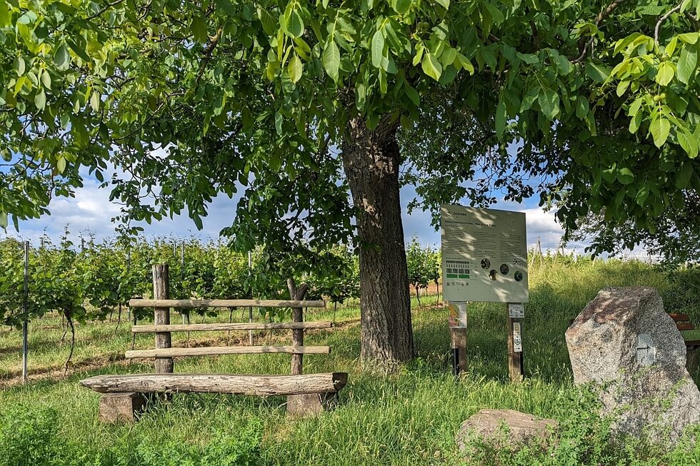 Unterwegs auf dem Erlebnispfad Wein und Stein zwischen Bensheim und Heppenheim