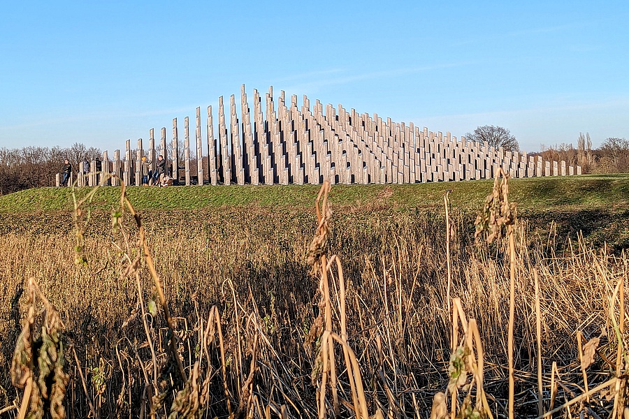 Stangenpyramiden Regionalpark Rhein-Main