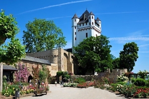 Eltville hat einen ganz besonderen Charme. Und das nicht ohne Grund: die direkte Lage am Rhein, die hübsche Uferpromenade, die mittelalterliche Burganlage und noch viel mehr Schönes gibt zu entdecken. Vor allem zur Rosenblüte ist Eltville ein wahrer Bilderbuchort.