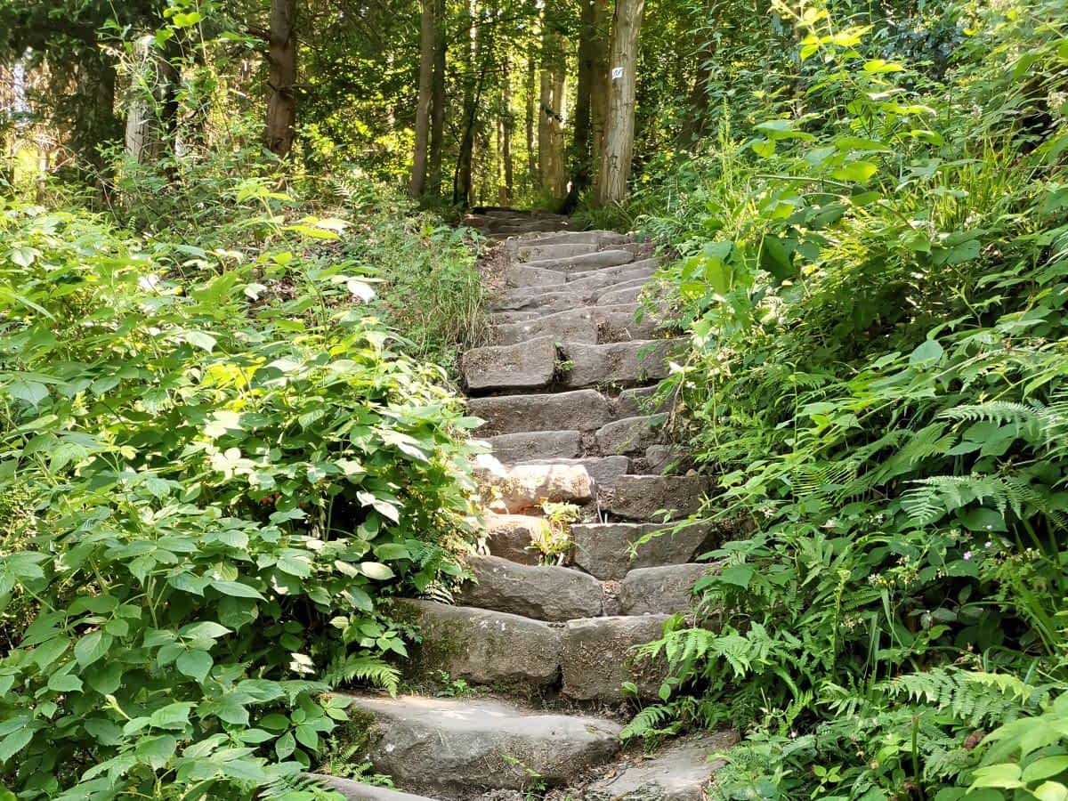 Himmelsleiter mit ihren Sandsteinstufen auf dem Weg zum Königstuhl in Heidelberg