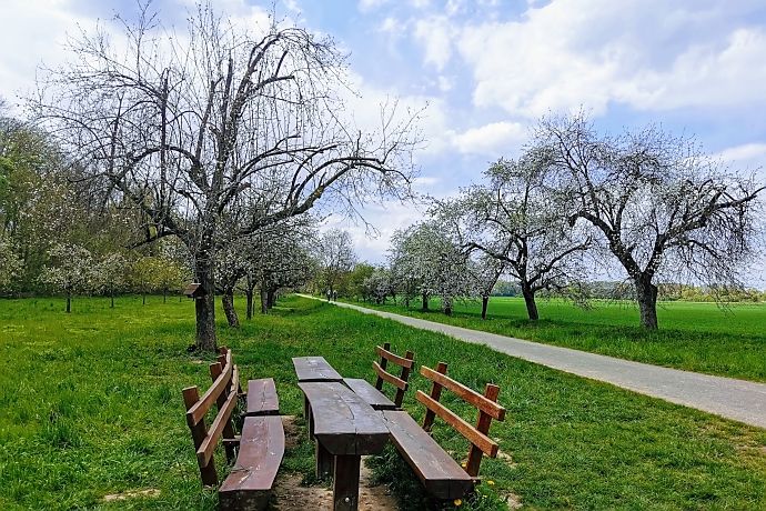 Idyllische und kinderwagengerechte Wege im Naturschutzgebiet Lampertheimer Altrhein