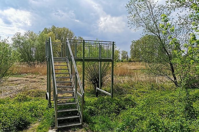 Vogelbeobachtungspunkt Rallengraben Naturschutzgebiet Lampertheimer Altrhein