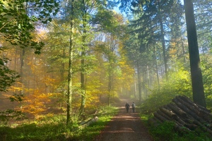 Viele Sagen und Legenden ranken sich um den Odenwald, allen voran die Nibelungen- und Siegfried-Sage. Allerorts findet man Spuren, die an die Nibelungensage erinnern, Veranstaltungen greifen das Thema auf und zwei bedeutende Ferienstraßen führen von Rhein zum Main durch das sagenumwobene Nibelungenland.