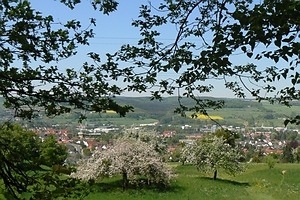 [title] - Der Odenwald ist ein beliebtes Ausflugsziel für Wanderer, Naturliebhaber, Mountain-Biker, Kunstfreunde und Familien. Neben schönen Wander- und Spazierwegen sowie Moutainbike-Strecken bietet der Odenwald imposante Natur- und Kulturdenkmäler, historische Altstädte, Mussen und beliebte Attraktionen wie Sommerrodelbahn, Solardraisine oder Kletterwald.