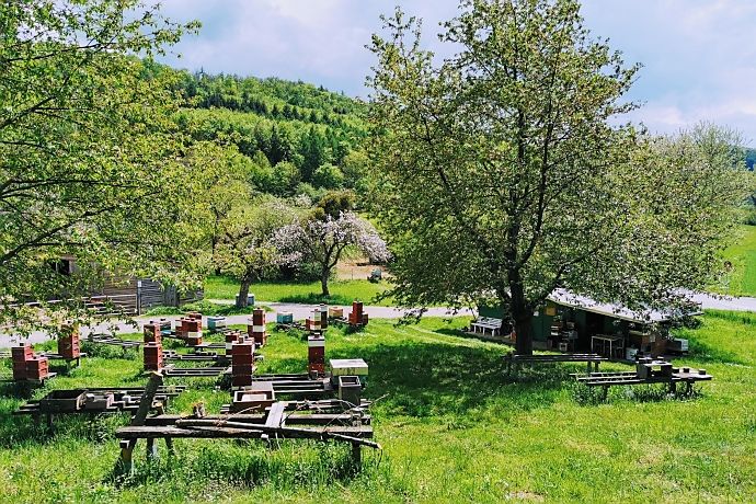 Bienenstöcke auf dem Pfad der Vielfalt im Lautertal-Odenwald