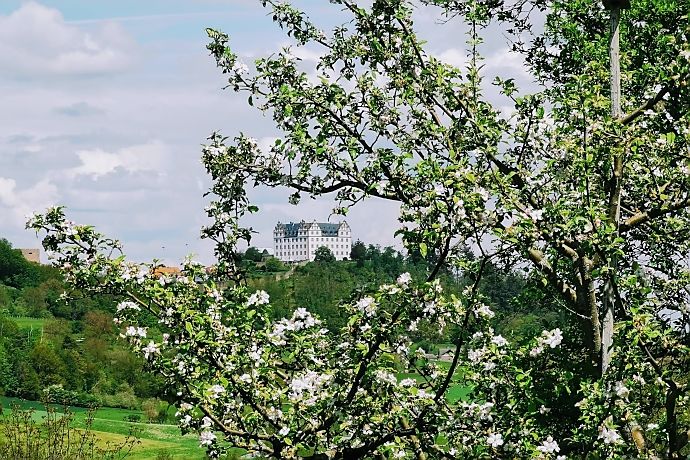 Schloss Lichtenberg im Odenwald - Aussicht vom Pfad der Vielfalt