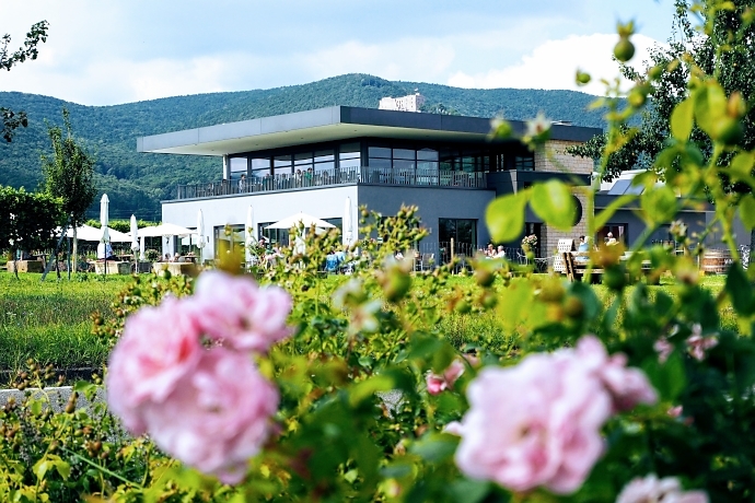 Tipp: Ein Besuch im Weingut Isler Diedesfeld/Neustadt