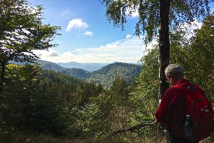 Wandern in der Pfalz an der südlichen Weinstrasse