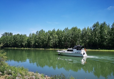 Einfach mal den Alltag hinter sich lassen und die Natur genießen. Dafür ist der „Kühkopf“ wie geschaffen. Ob zu Fuß, mit dem Rad oder auf dem Wasser - hier kommt man der Natur ganz nah und kann so richtig schön entschleunigen.