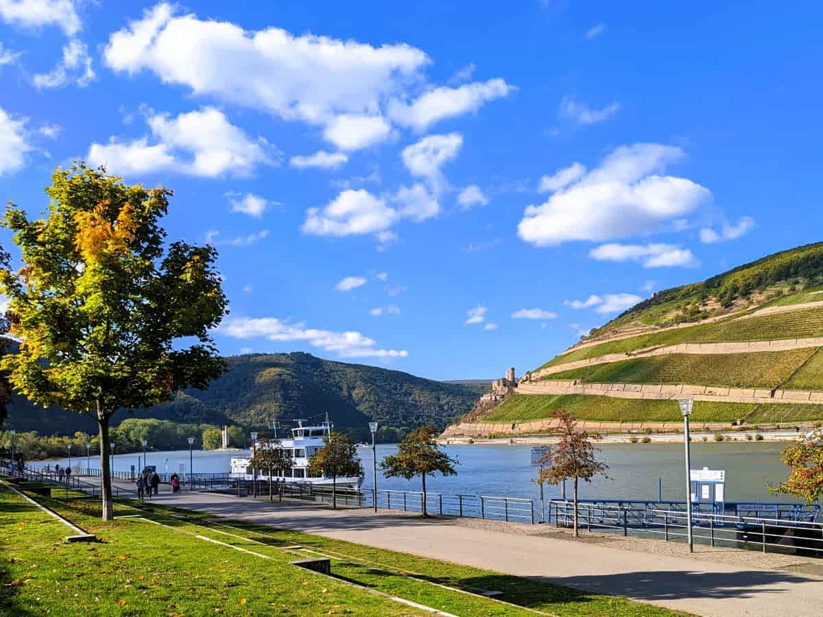 Blick von Bingen auf den Rheingau mit Weinbergen und dem Fluss