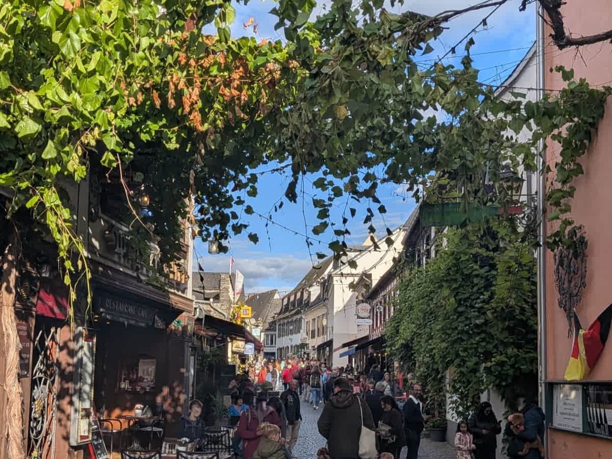 Altstadtgasse in Rüdesheim am Rhein mit Fachwerkhäusern, überdachenden Reben