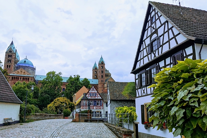 Blick auf den Dom zu Speyer