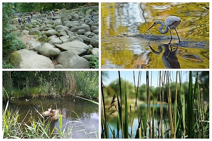 beste welterbe ziele geopark bergstrasse-odenwald