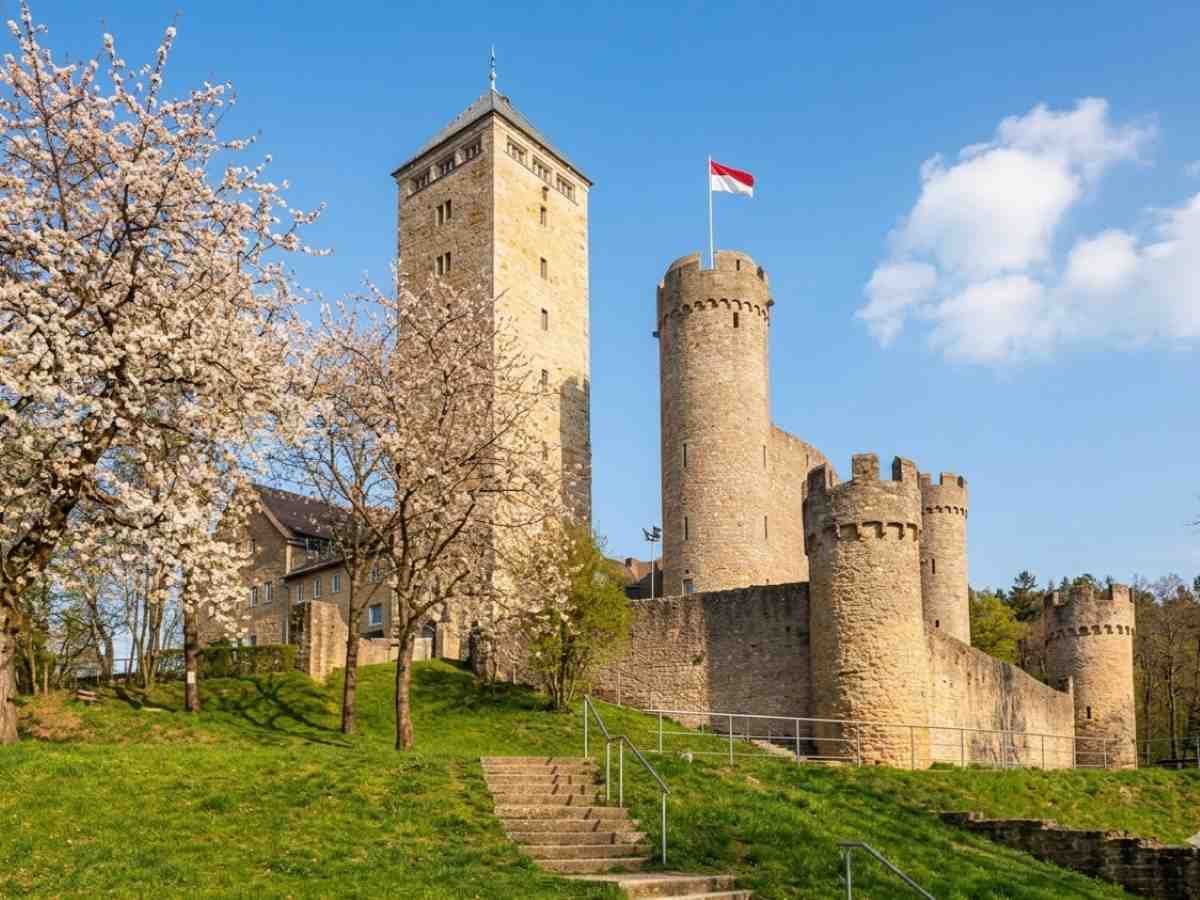 Die historische Starkenburg in Heppenheim an der Bergstraße an einem sonnigen Frühlingstag mit blühenden Bäumen im Vordergrund. Die historische Starkenburg in Heppenheim an der Bergstraße an einem sonnigen Frühlingstag mit blühenden Bäumen im Vordergrund.
