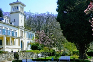 [title] - Die mittelalterliche Burgruine Tannenberg, das Schloss Heiligenberg mit dem Schlosspark und prunkvolle Villen aus der 