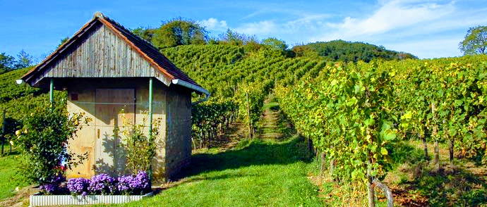 Unterwegs auf dem Wein und Stein Erlebnispfad in Heppenheim
