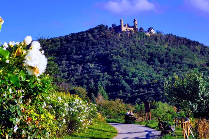 Spaziergang Weinberge Zwingenberg Blick auf Schloss Auerbach