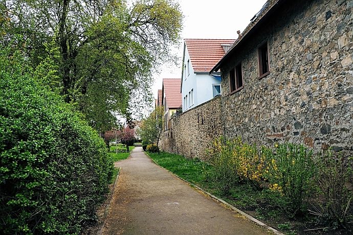 Reste der Stadtmauer in Zwingenberg