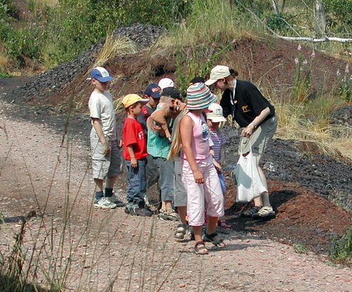 Führungen in der Grube Messel