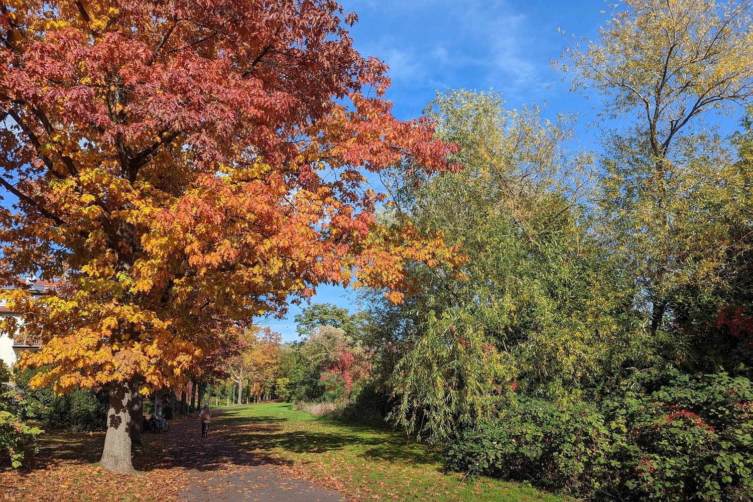 Radtour Seligenstadt-Hanau Mainradweg 