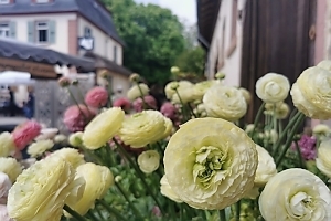 Zum ersten Mal öffnen sich die Tore des Hofguts Kranichstein in Darmstadt für das Fürstliche Gartenfest, an dem sich drei Tage lang alles um Garten, Natur und Country Living dreht. 