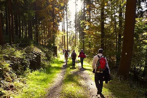 Bergstraße-Odenwald: Wanderungen und Exkursionen 