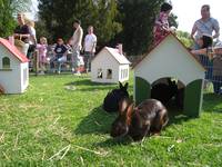 [title] - Die vergnüglichen Osterführungen in Weinheim haben Tradition. Der „Ostereierflüsterer“ berichtet auf humorvolle Art und Weise über Sitten und Bräuche des Osterfestes und führt dabei durch die Altstadt und den Schlosspark.