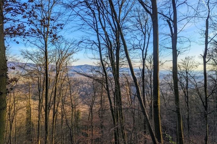 Burgensteig Bergstrasse: Frühjahrswanderung von Schloss Alsbach zum Auerbacher Schloss