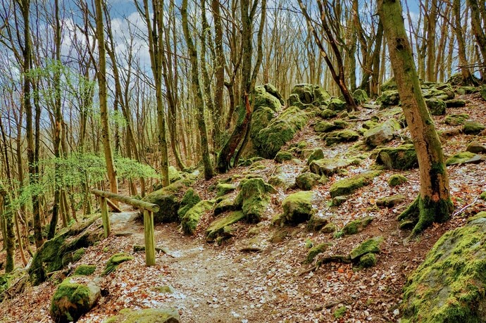 Auf dem Burgensteig von der Burg Frankenstein nach Seeheim-Jugenheim