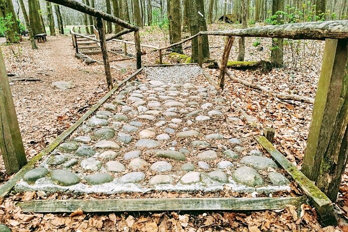 Walderlebnispfad rund um Burg Frankenstein