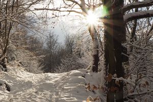 Gerade bei eisigen Temperaturen kann man in der Natur eine ganz besondere Atmosphäre genießen. Ob mit oder ohne Schnee - warm eingepackt lassen sich draußen wohltuende Stunden verbringen