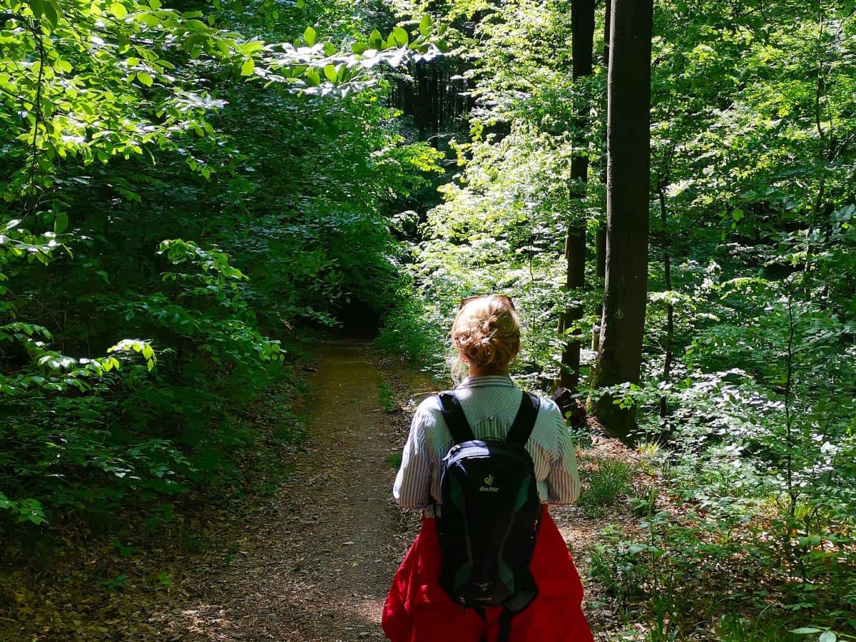 Unterwegs auf einem schattigen Waldweg bei der Rundwanderung um Birkenau Unterwegs auf einem schattigen Waldweg bei der Rundwanderung um Birkenau