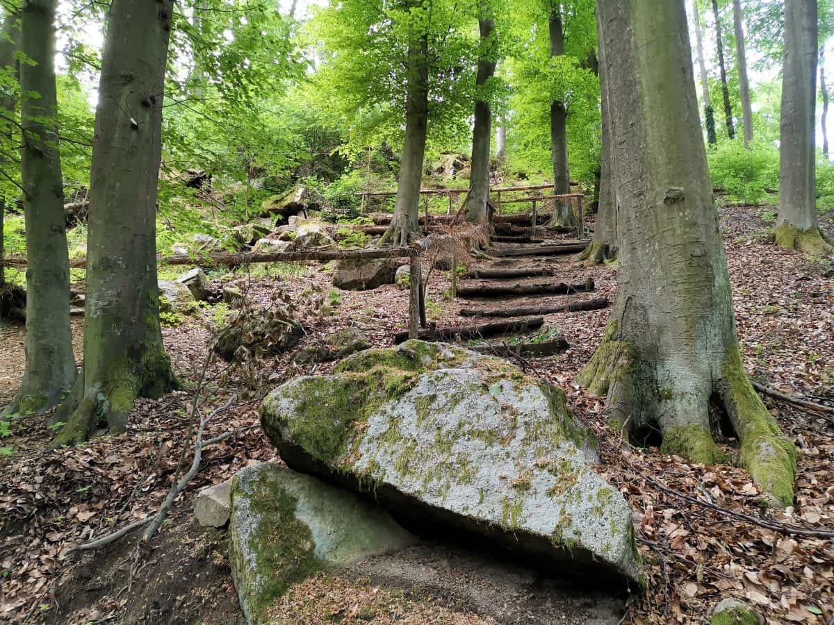 Waldtreppe auf dem Wanderweg zur Hohen Harth bei Birkenau Waldtreppe auf dem Wanderweg zur Hohen Harth bei Birkenau